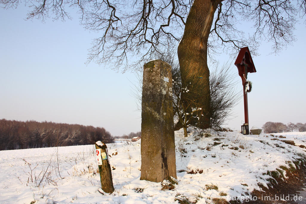 Detailansicht von Grenzstein 204 auf dem Dal Driesschenweg, GrenzRoute 7