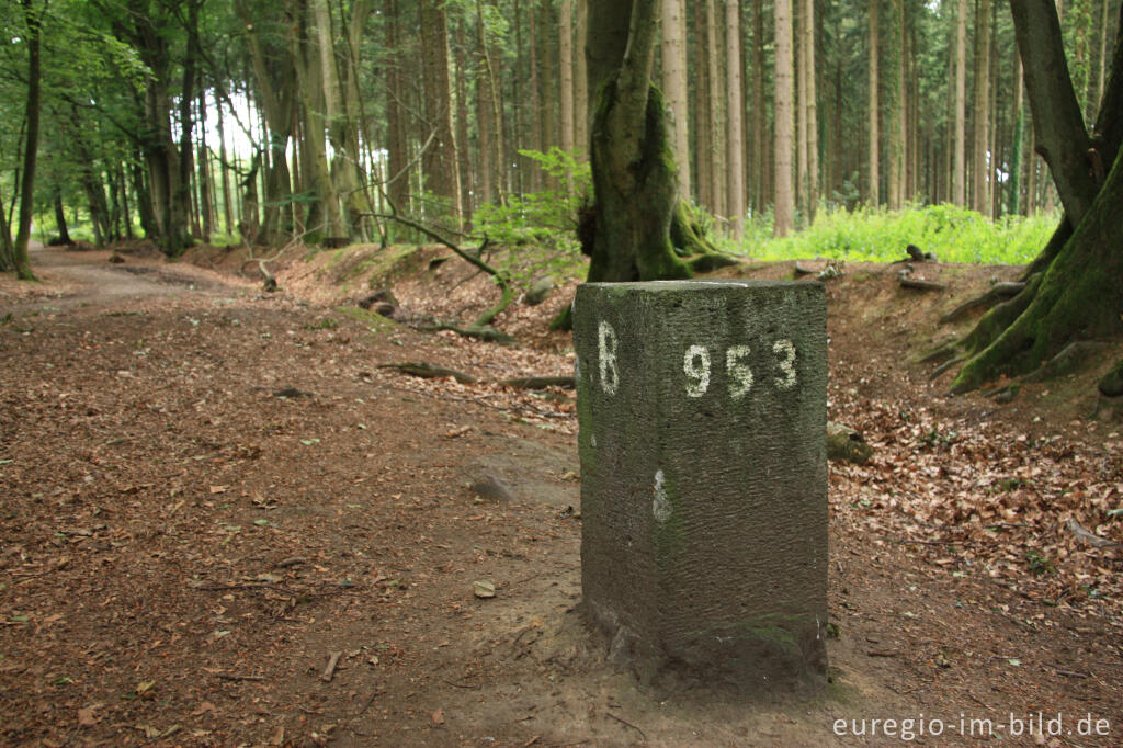 Detailansicht von Grenzstein 953 bei der Aachener Landwehr, Grenzübergang Aachen-Köpfchen