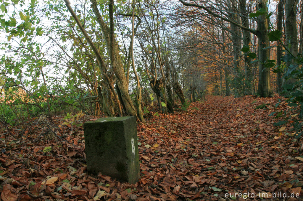 Detailansicht von Grenzstein beim Dreiländerpunkt