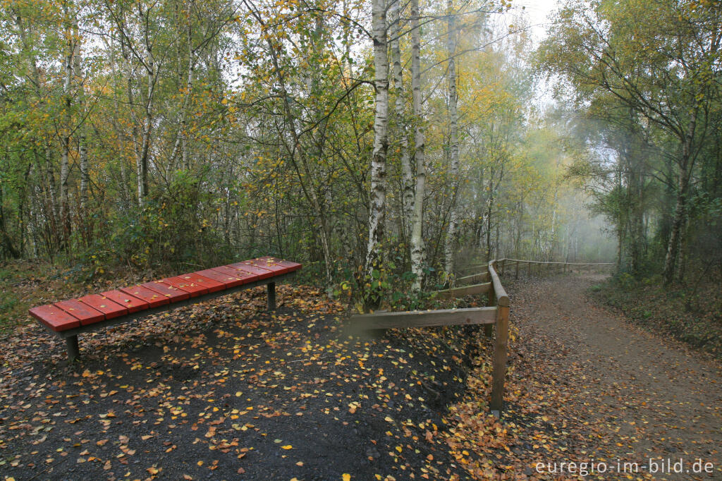 Detailansicht von Grube Adolf Park, Herzogenrath-Merkstein