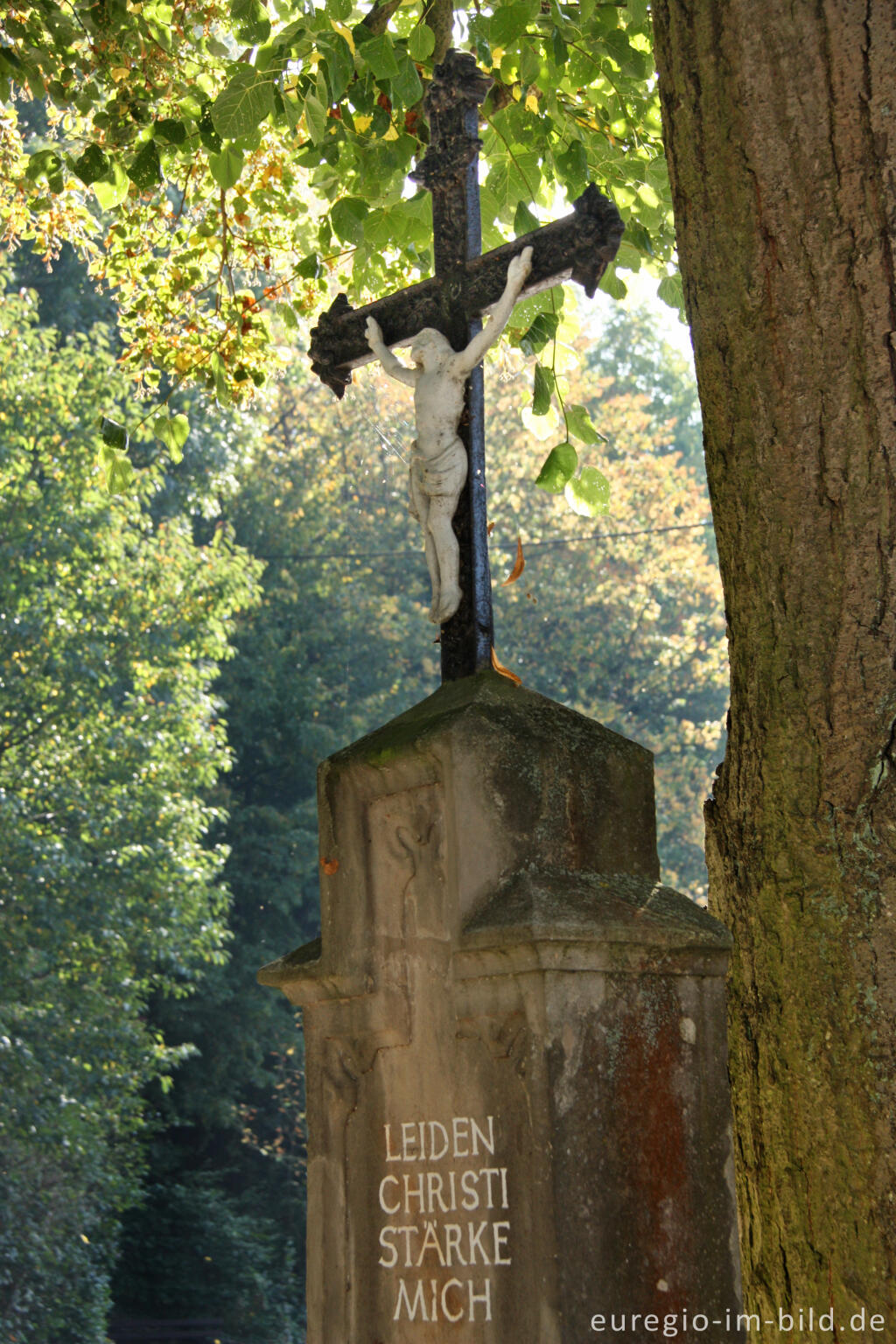 Detailansicht von Gusseisernes Wegekreuz in Abenden bei Nideggen, Inschrift: LEIDEN CHRISTI STÄRKE MICH 
