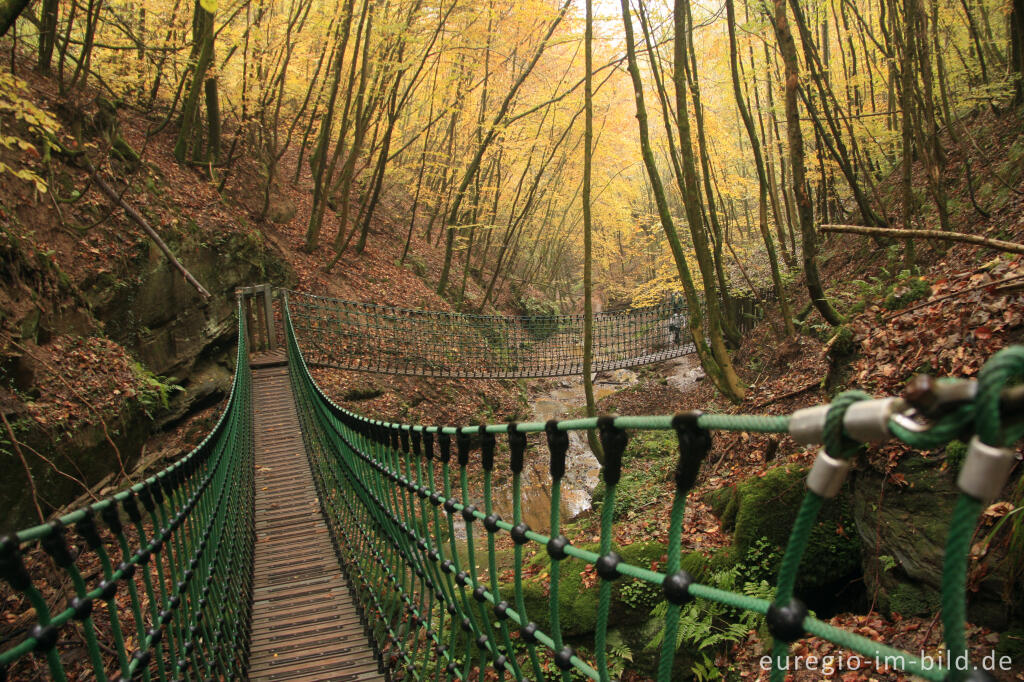 Hängebrücke im Butzerbachtal, Südeifel