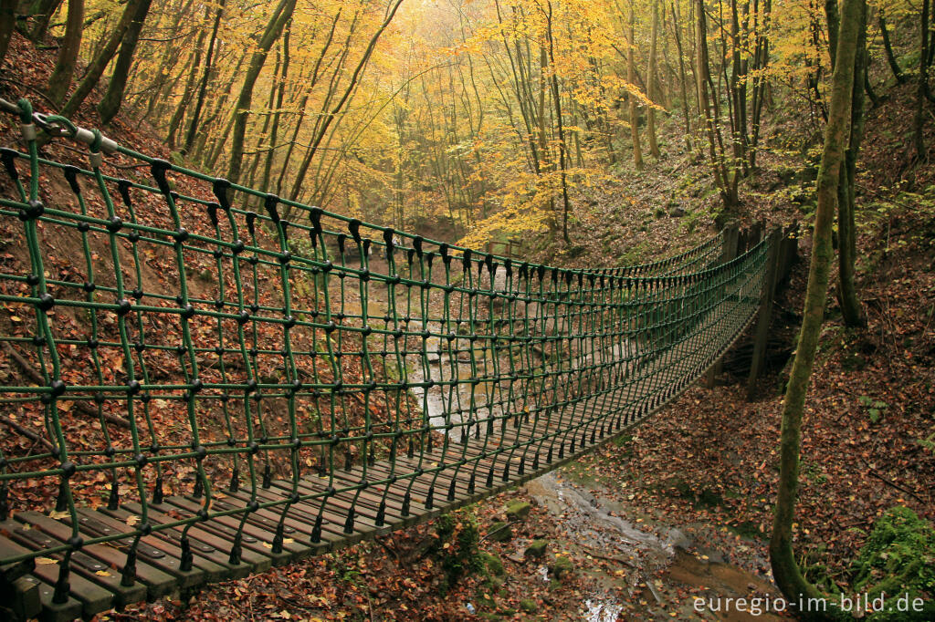 Hängebrücke im Butzerbachtal, Südeifel