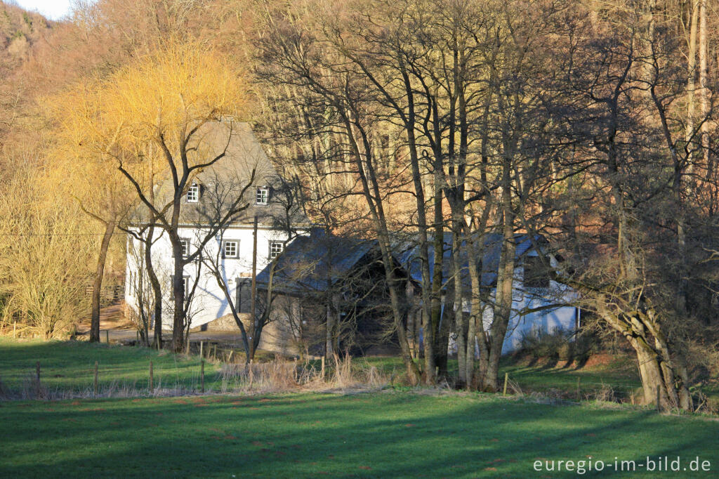 Detailansicht von Hallenthaler Mühle bei Marmagen