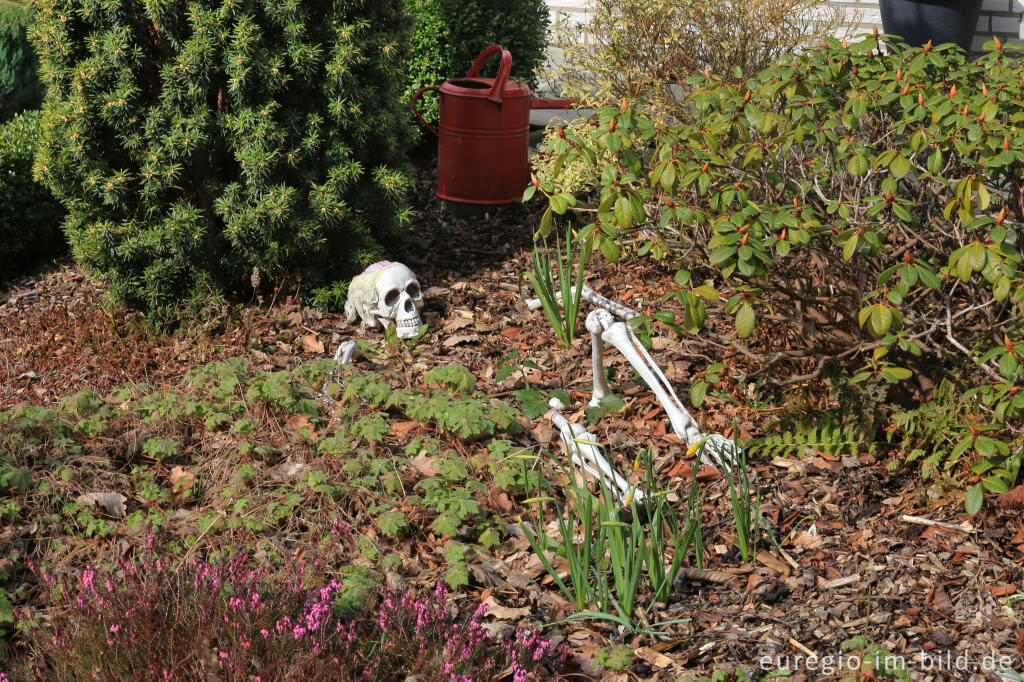 Detailansicht von Halloween in Hasenfeld bei Heimbach