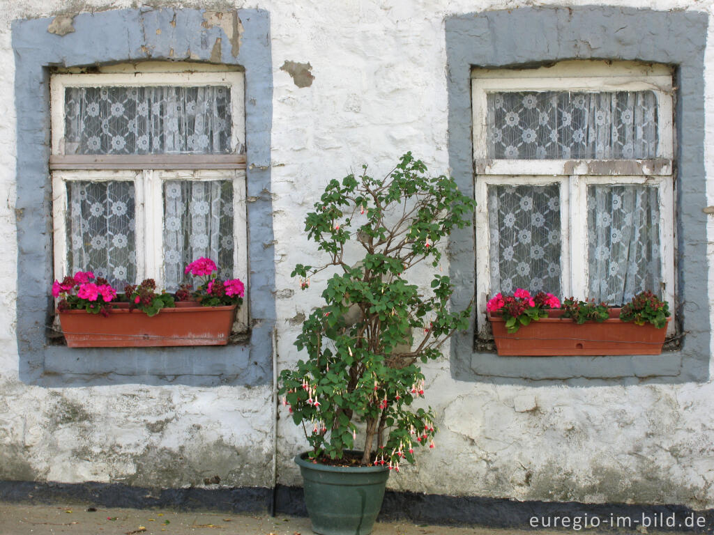 Detailansicht von Haus mit Blumenschmuck, Gemeinde Plombières