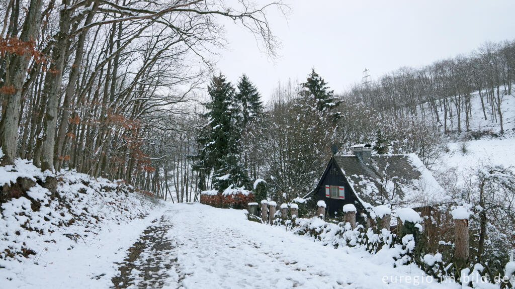 Detailansicht von Haus Odenbach im Odenbachtal, Hetzinger Wald im Nationalpark Eifel