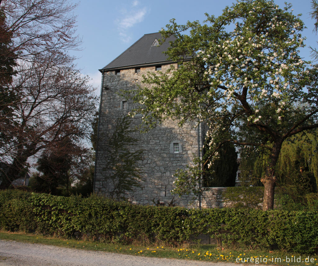 Detailansicht von Haus Raeren in Raeren, Belgien