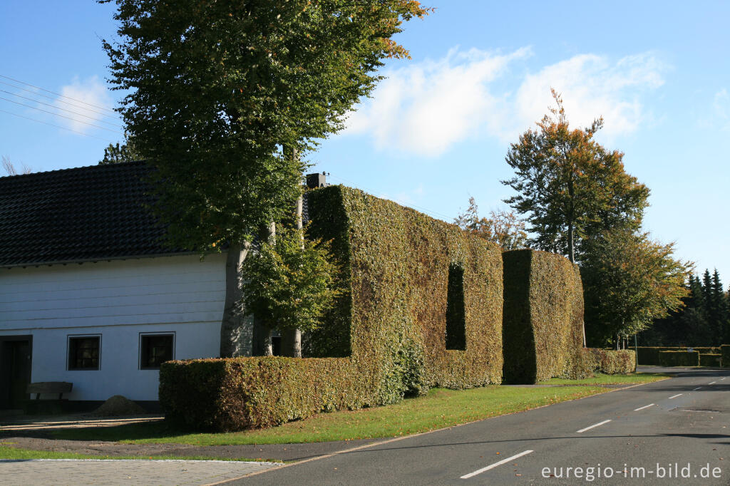 Detailansicht von Haushecke mit Fenster in Höfen 