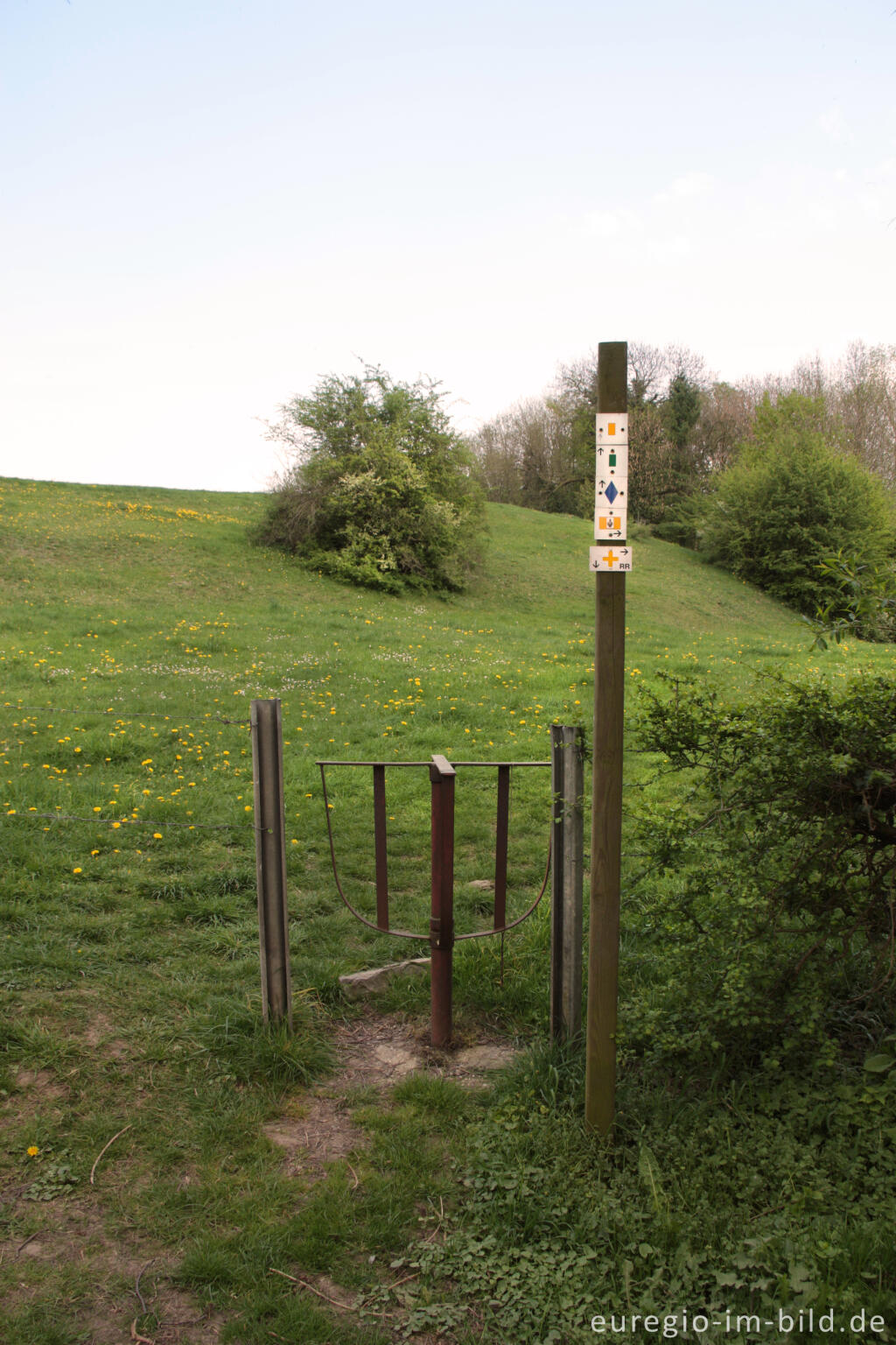 Detailansicht von Hecken- und Wiesenlandschaft bei Raeren mit Drehkreuz