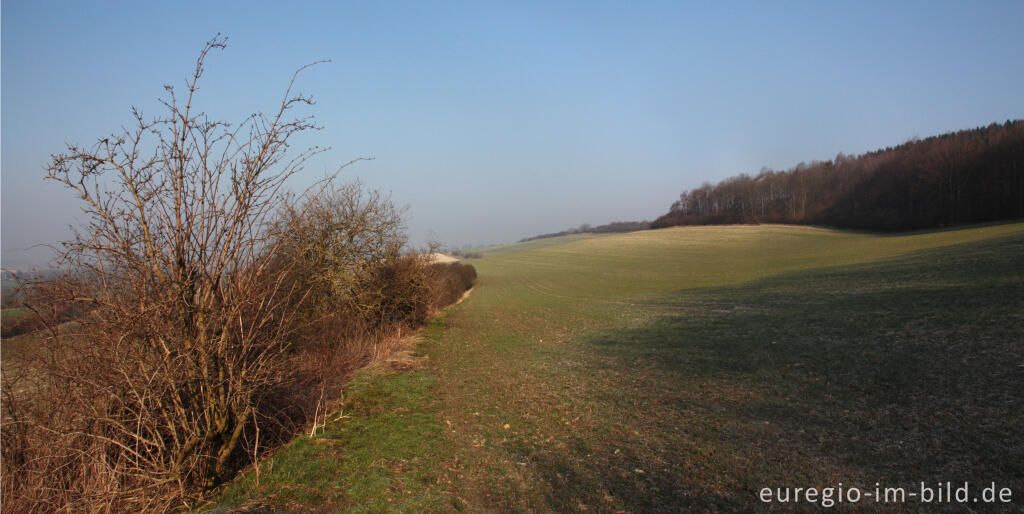 Detailansicht von Heckenstreifen, Feld und Wald auf dem Schneeberg