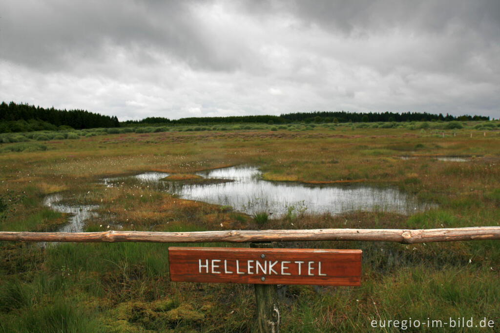 Detailansicht von Hellenketel, ein Palsen im Brackvenn, Hohes Venn