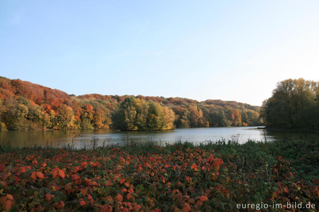 Detailansicht von Herbst am Cranenweyer