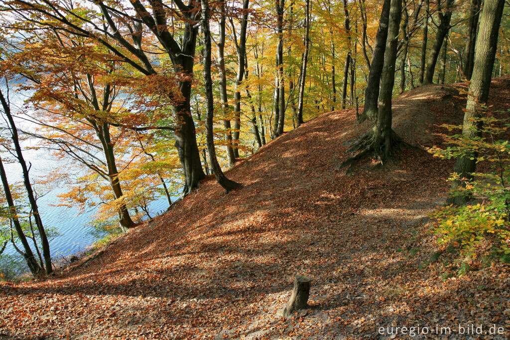 Herbst am Cranenweyer