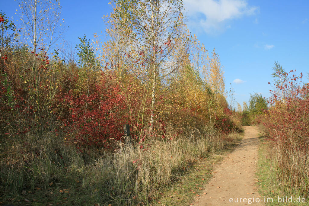 Herbst beim Blausteinsee, Eschweiler