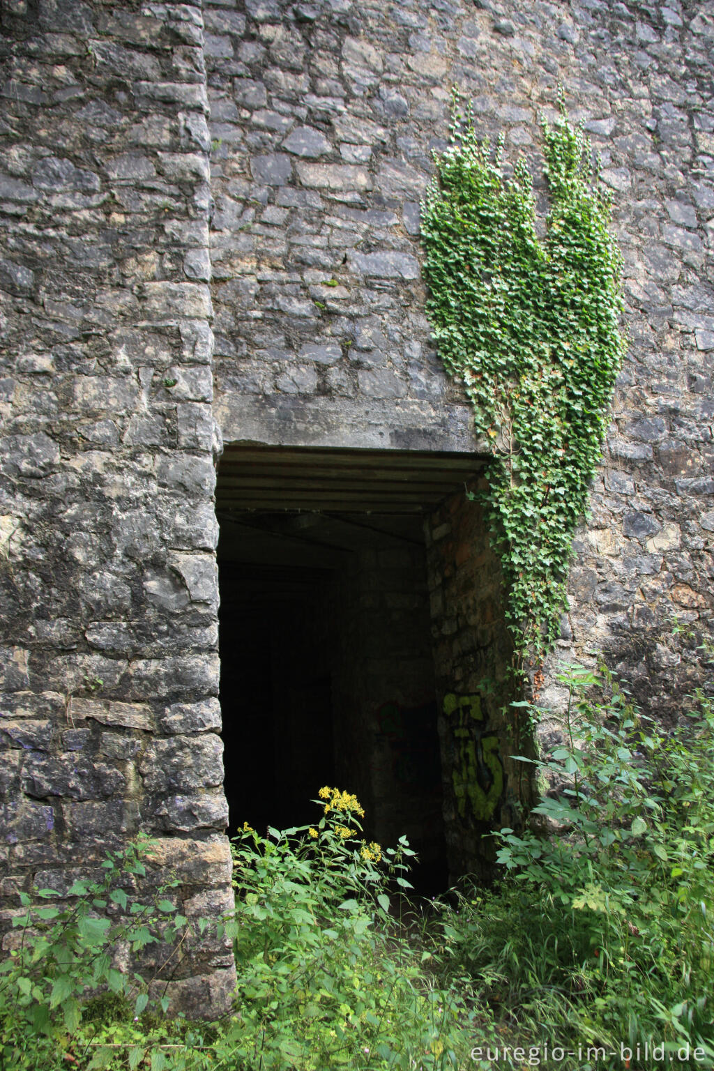 Detailansicht von Historischer Kalkofen bei Aachen-Walheim