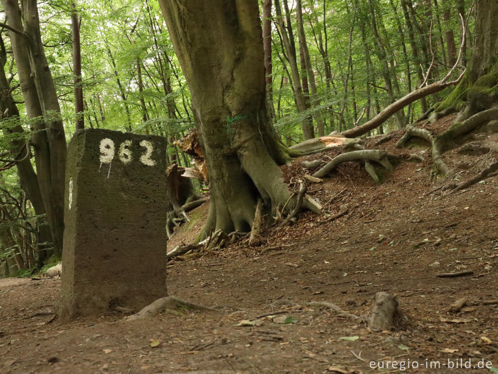 Detailansicht von Historischer Landgraben mit altem Grenzstein, Grenzkunstroute021-fragil