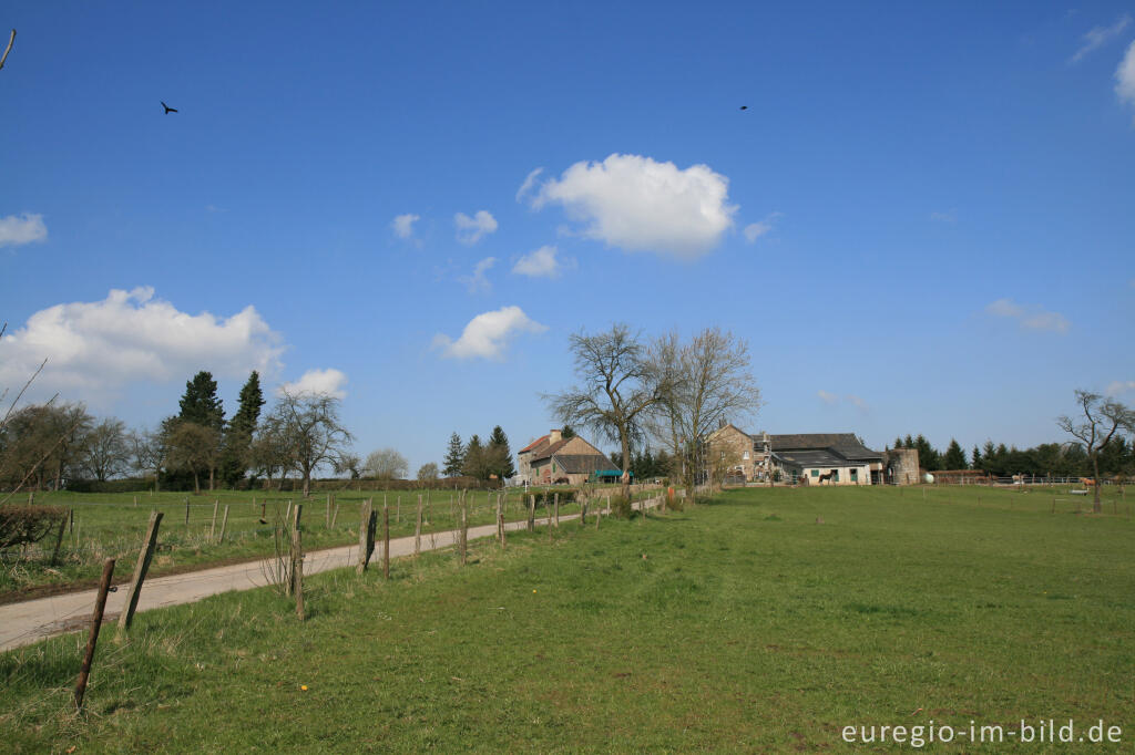 Detailansicht von Hitfeld mit dem Sträßchen Kreuzerdriesch