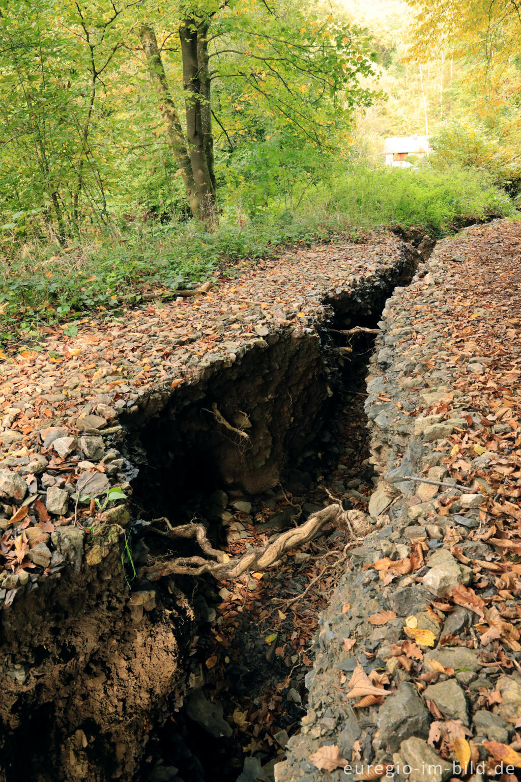 Detailansicht von Hochwasserschaden von 2021 auf einem Wanderweg