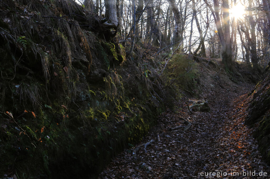 Detailansicht von Hohlweg, "Dorfrundgang Lammersdorf"