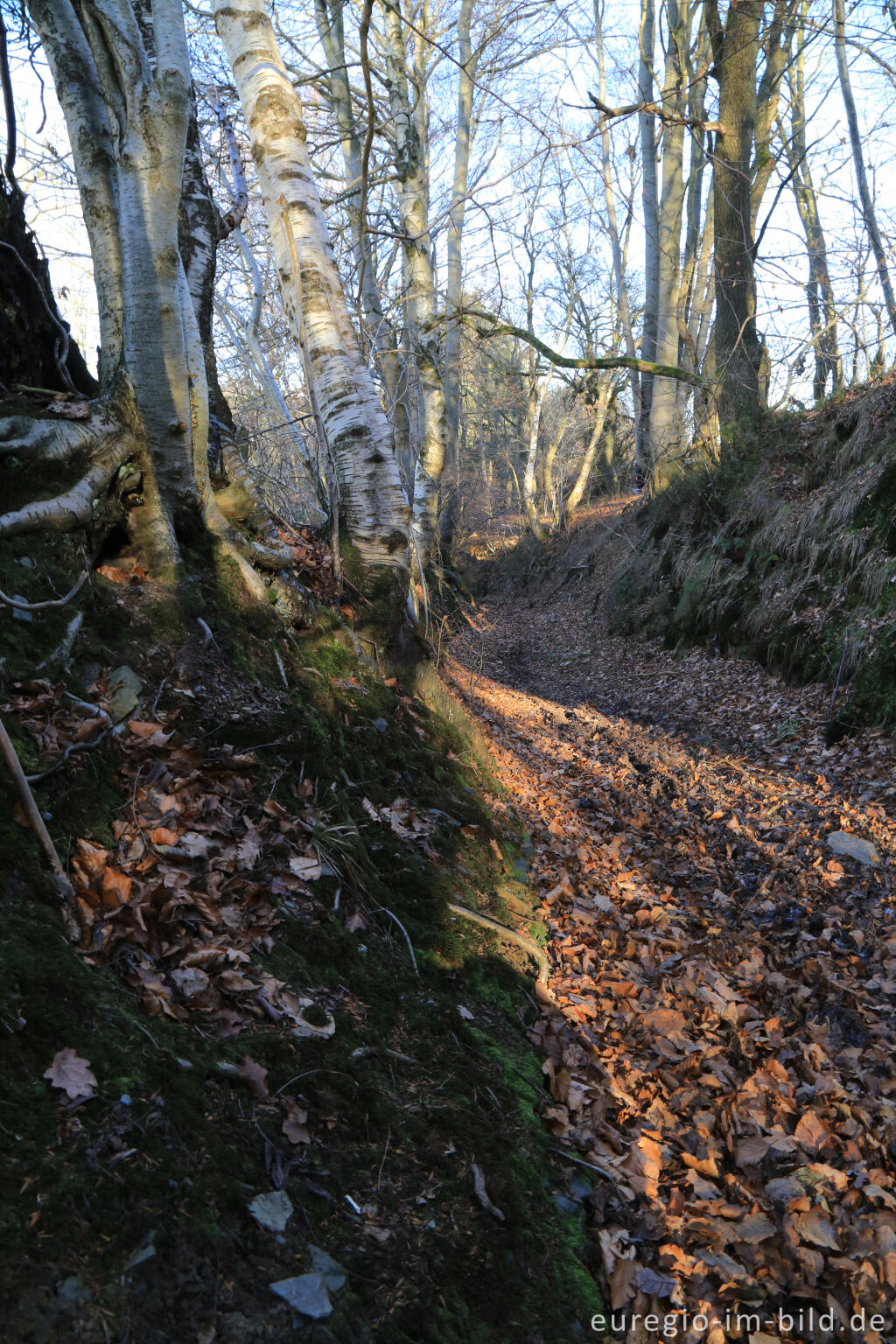 Detailansicht von Hohlweg, "Dorfrundgang Lammersdorf"