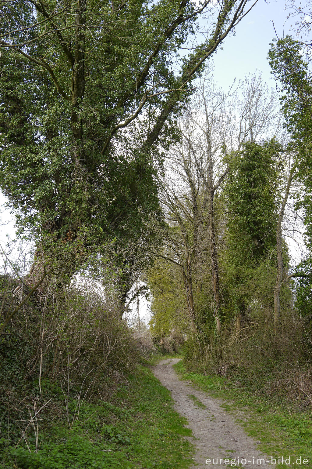 Hohlweg, Grenzroute 7 bei Aachen-Orsbach