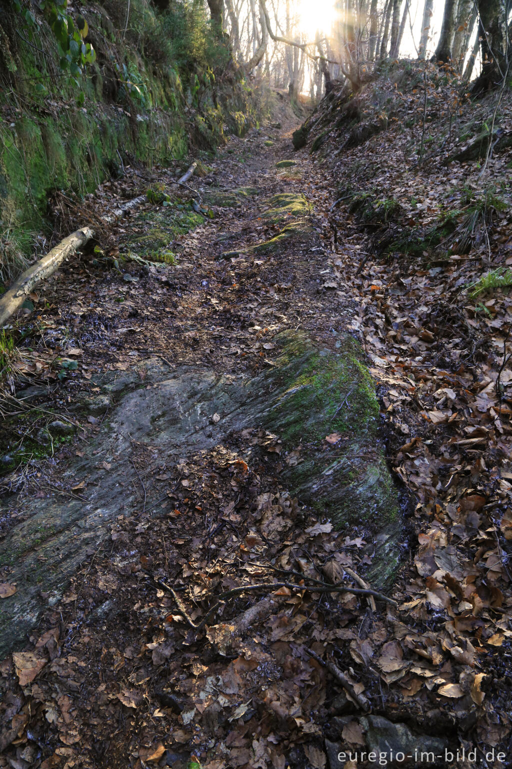 Hohlweg mit Karrenspuren, "Dorfrundgang Lammersdorf"