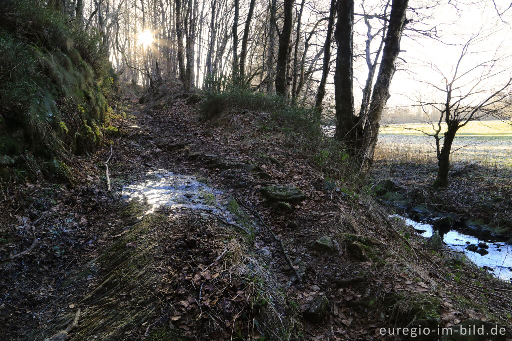 Detailansicht von Hohlweg mit Karrenspuren, "Dorfrundgang Lammersdorf"