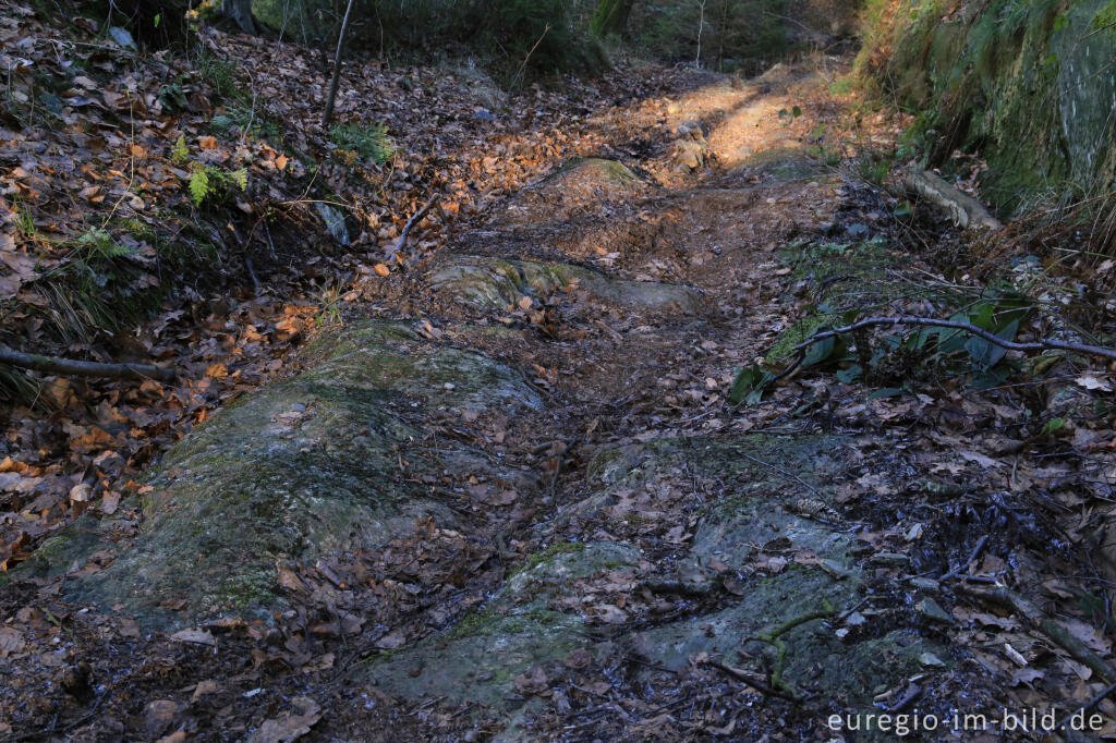 Hohlweg mit Karrenspuren, "Dorfrundgang Lammersdorf"