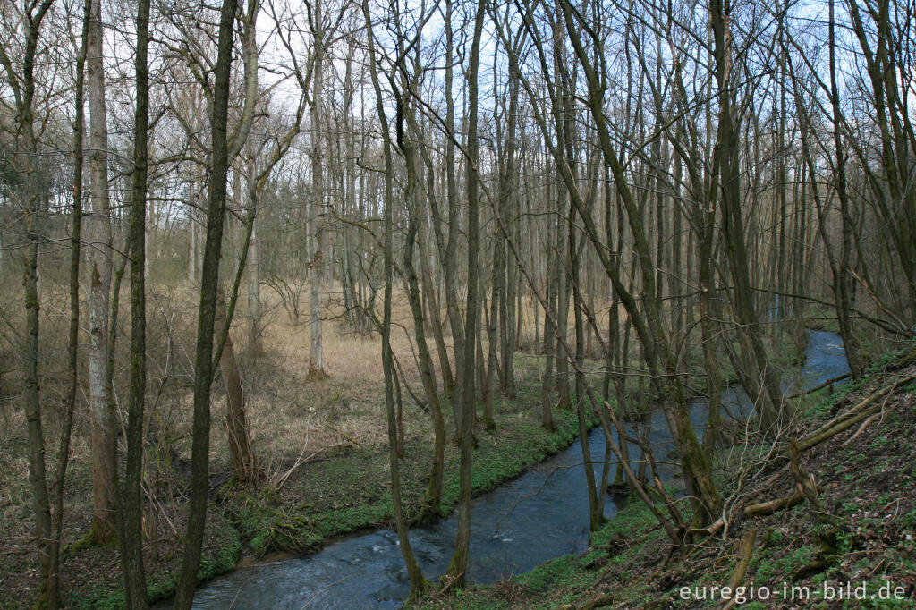 Detailansicht von Hohnbach, Kelmis, (B)