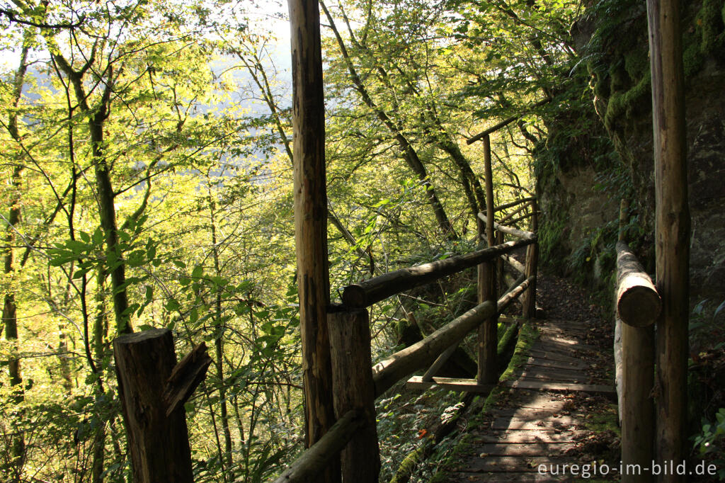 Detailansicht von Holzsteg auf dem Lieserpfad / Eifelsteig, südlich von Manderscheid