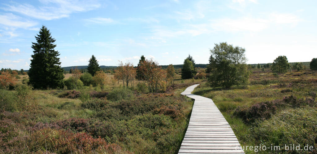 Detailansicht von Holzsteg im Brackvenn, Hohes Venn