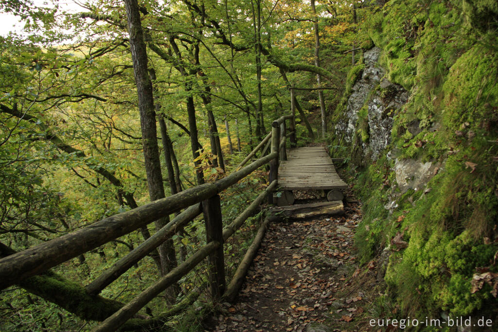 Detailansicht von Holzsteg, Lieserpfad / Eifelsteig, Vulkaneifel