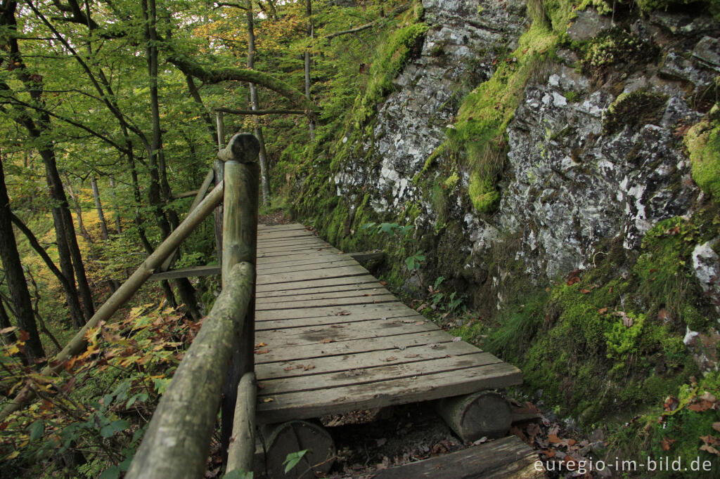 Detailansicht von Holzsteg, Lieserpfad / Eifelsteig, Vulkaneifel