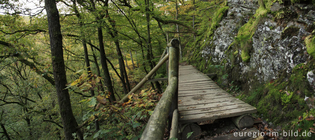 Detailansicht von Holzsteg, Lieserpfad / Eifelsteig, Vulkaneifel