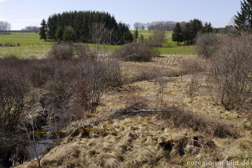 Holzwarchetal