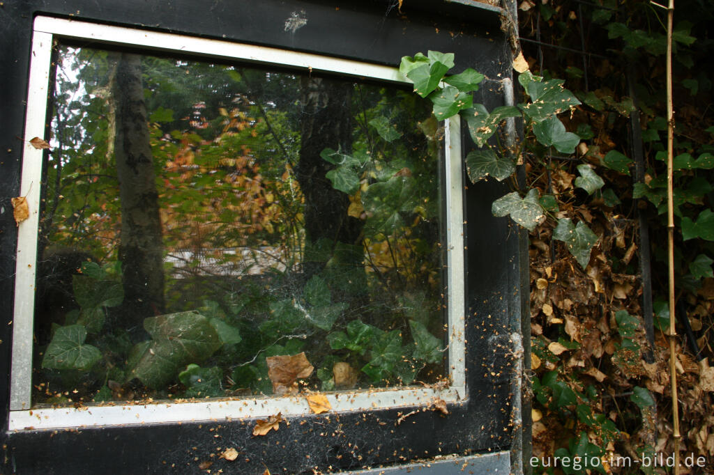 Detailansicht von Hortus Dialogus, Nideggen - Abenden