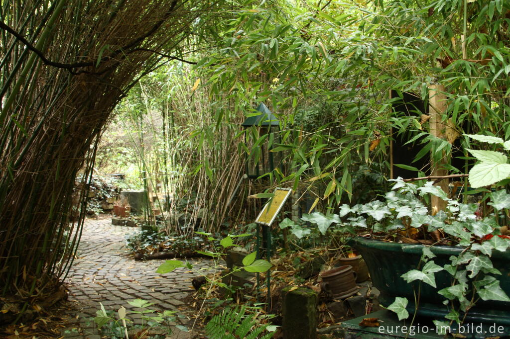 Detailansicht von Hortus Dialogus, Nideggen - Abenden