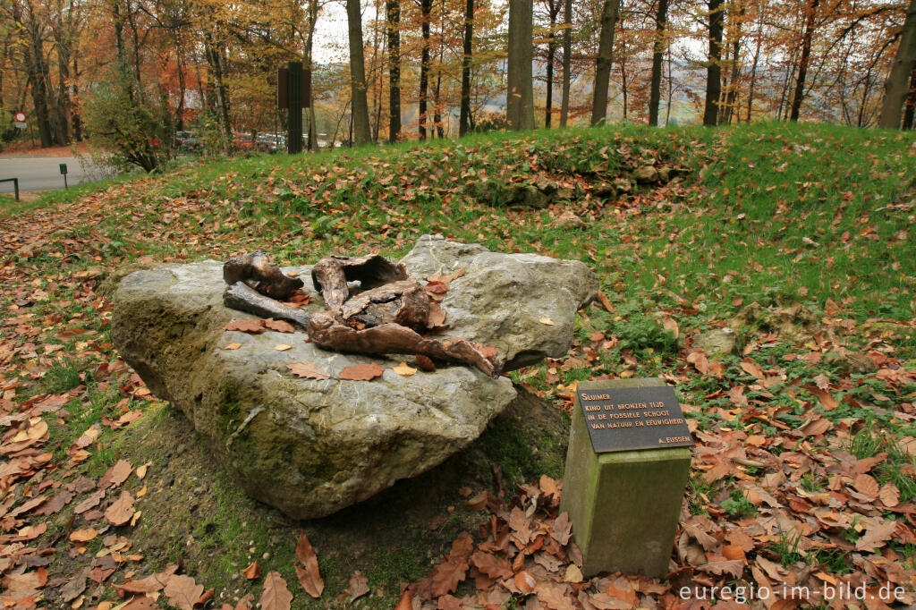 Detailansicht von Hügelgrab mit Denkmal, Vijlenerbos