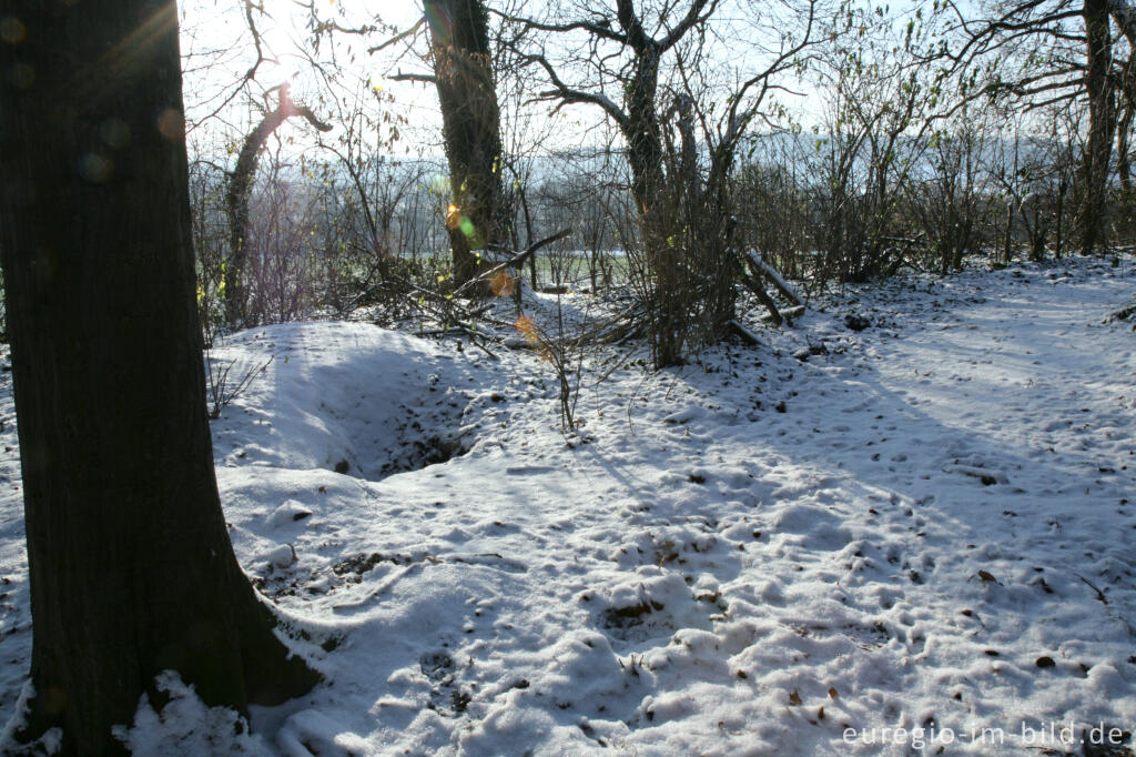 Detailansicht von Im Gasser Feld bei Aachen