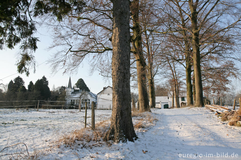 Detailansicht von Im Gasser Feld bei Aachen