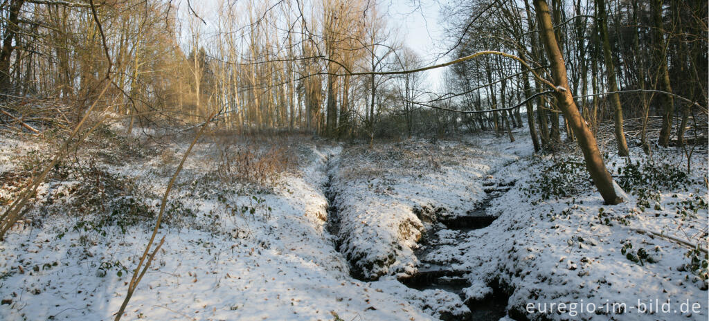 Detailansicht von Im Gasser Feld bei Aachen