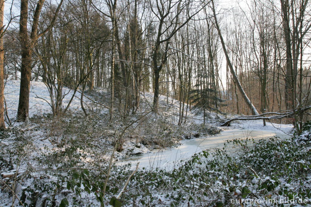 Detailansicht von Im Gasser Feld bei Aachen