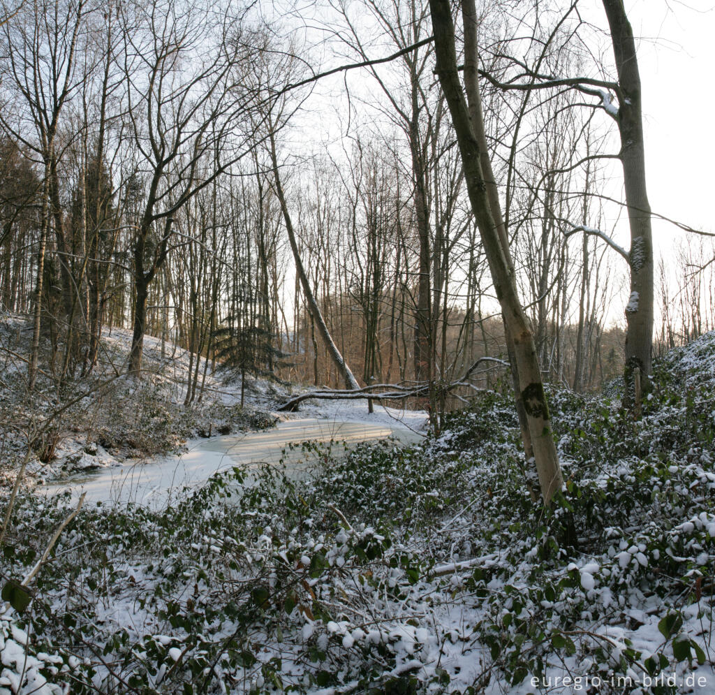 Detailansicht von Im Gasser Feld bei Aachen