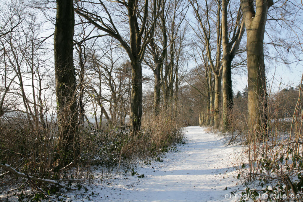 Detailansicht von Im Gasser Feld bei Aachen