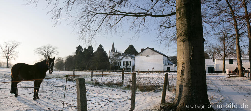 Detailansicht von Im Gasser Feld bei Aachen