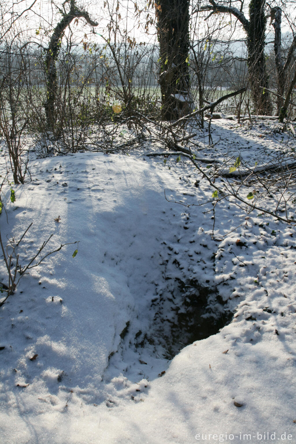 Detailansicht von Im Gasser Feld bei Aachen