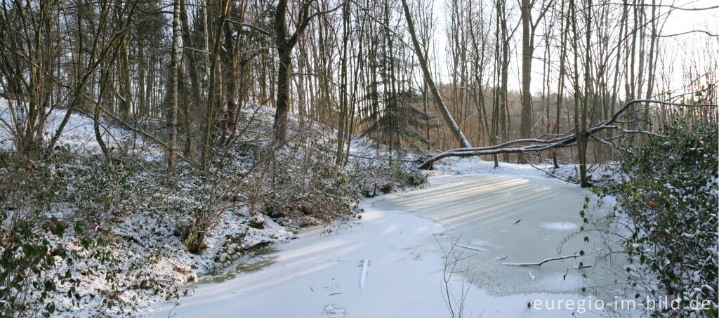 Detailansicht von Im Gasser Feld bei Aachen