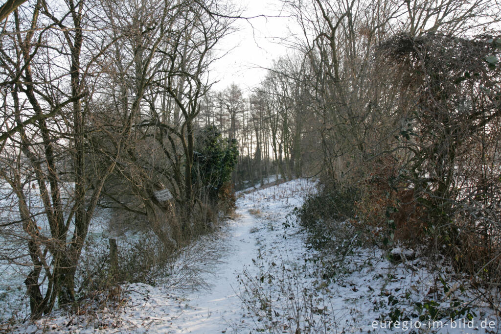 Detailansicht von Im Gasser Feld bei Aachen