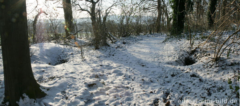 Detailansicht von Im Gasser Feld bei Aachen